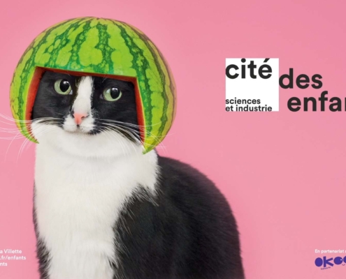 Visuel de l'exposition La cité des enfants à la Cité des sciences et de l'industrie, représentant un chat avec une pastèque sur la tête en guise de casque