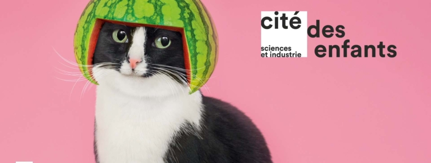 Visuel de l'exposition La cité des enfants à la Cité des sciences et de l'industrie, représentant un chat avec une pastèque sur la tête en guise de casque