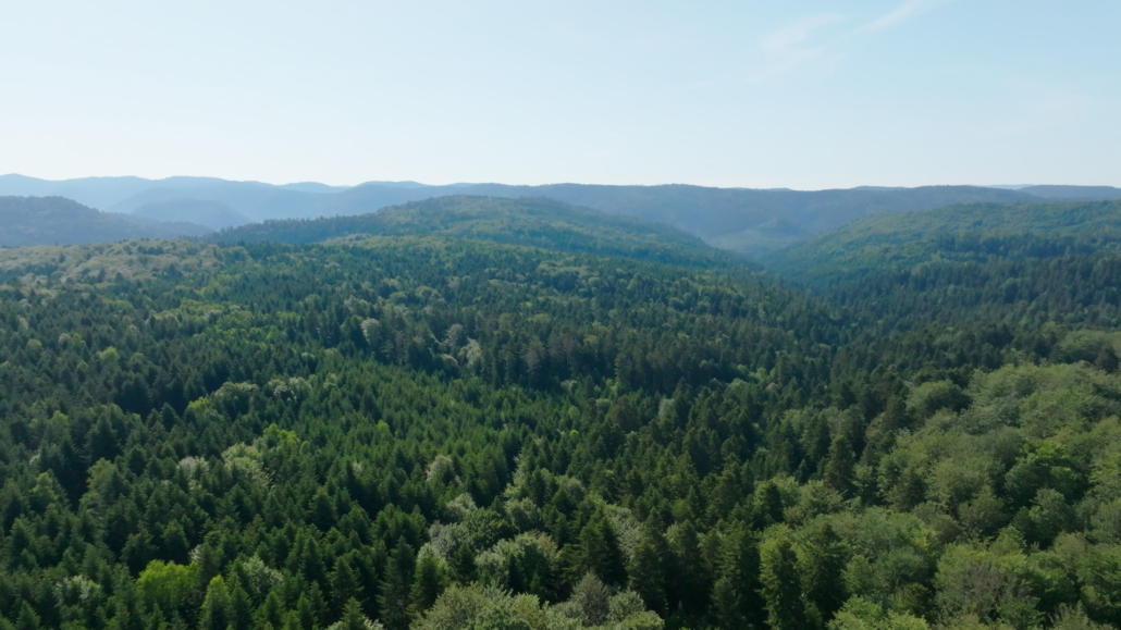 Vue aérienne réalisé en drone