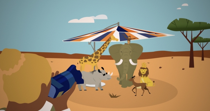 Motion design | Safari Challenge