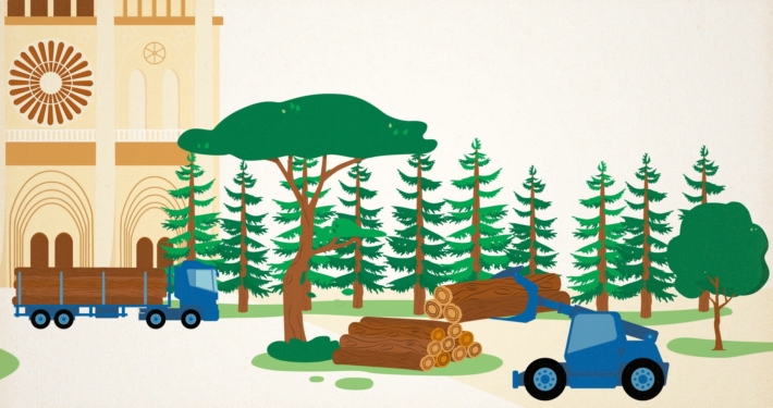 Motion design | Présentation de France Bois Forêt