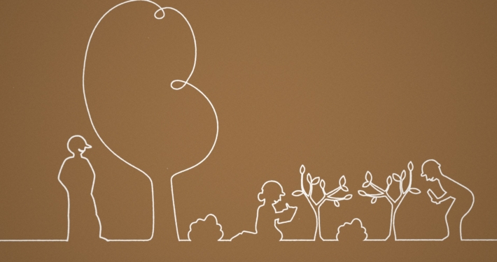 Motion design | Coopératives forestières